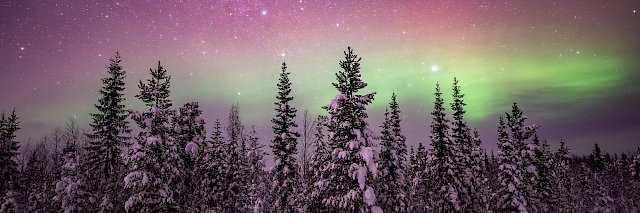 Nordlichter & Polarnacht in Lappland 2027